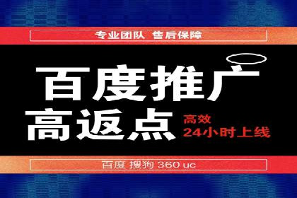 SEM推广实战：案例解析与策略探讨